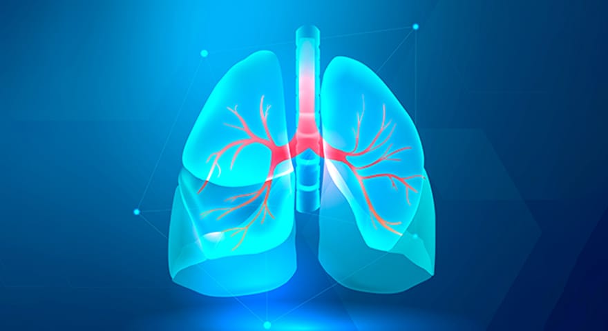 Best Pulmonology Hospital in Hyderabad | Pulmonology Hospital Near Me ...