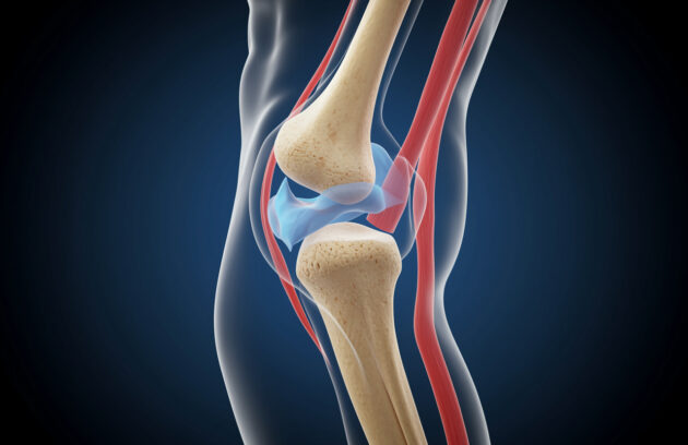 Easy Joint Care Tips | Best Orthopedic Hospital in Hyderabad